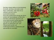Natur Spiele Rallye