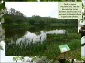 Natur Spiele Rallye
