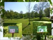 Natur Spiele Rallye