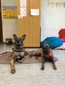 Lizzy und Coco