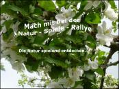 Natur Spiele Rallye